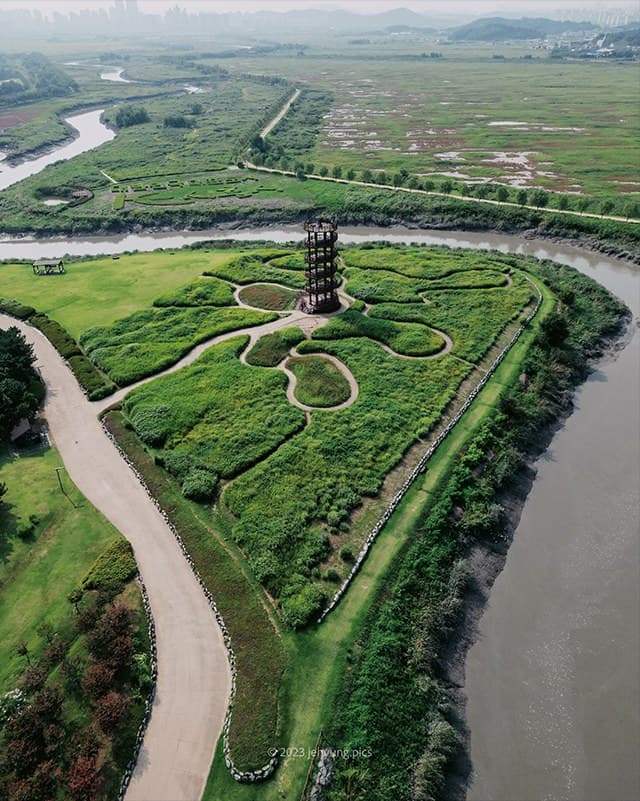 Aerial view of Siheung Gaetgol Ecological Park in summer, a spiral observation tower in a green marsh